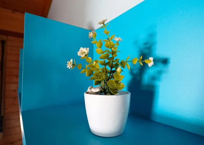 Casa La Pau Сasa de vacaciones *